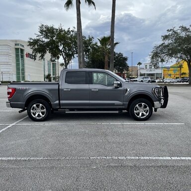 2021 f150 deals brush guard