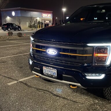 F250 LED License plate lights - Page 12 - Ford F150 Forum - Community of Ford  Truck Fans