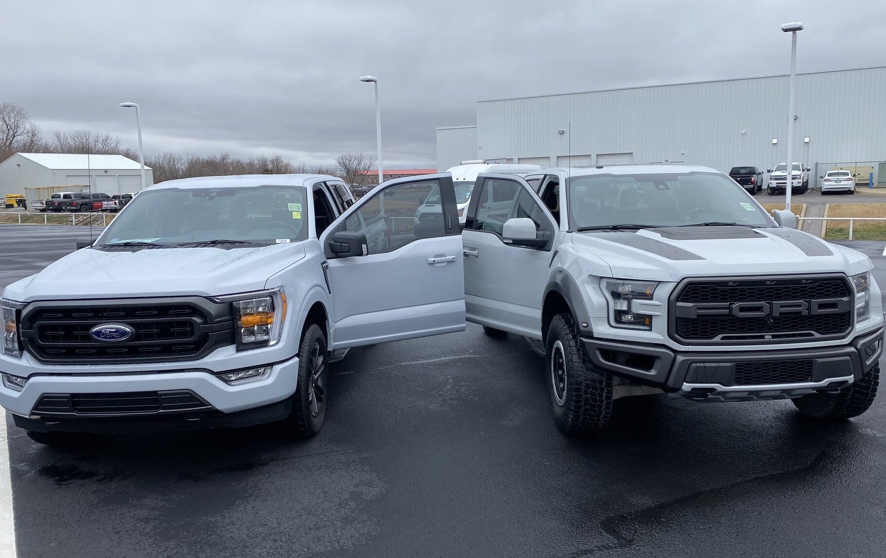 Avalanche Gray Ford F150