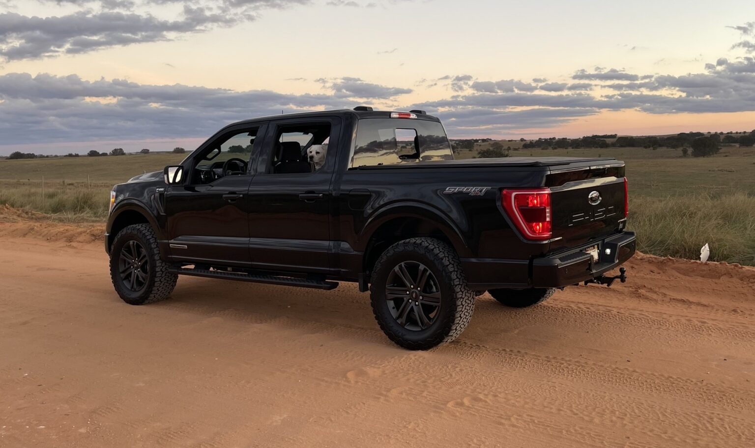 March 28, 2023 – F150gen14 — 2021+ Ford F-150, Tremor, Raptor Forum ...